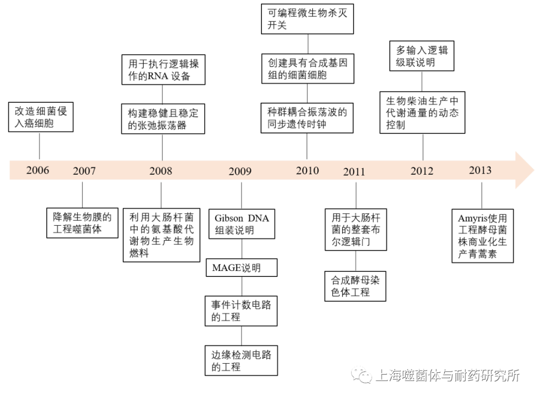 合成生物学的生长及在噬菌体中的应用