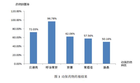 动物药敏效果