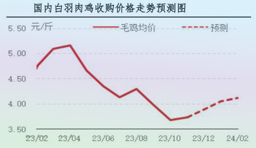 11月肉鸡市场行情剖析及12月行情展望