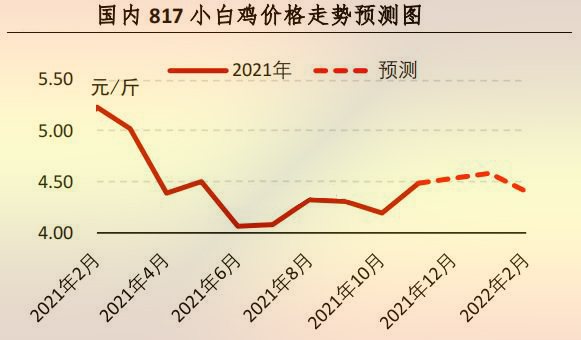 【行情】11月肉鸡市场行情剖析及12月展望