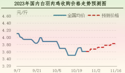 肉鸡市场行情汇总