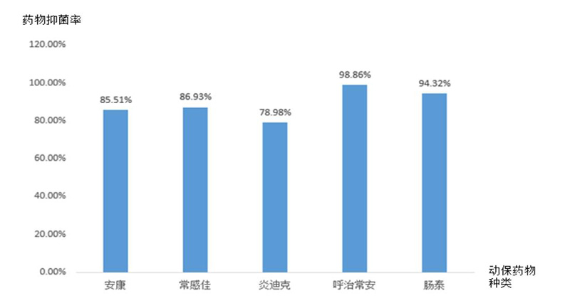 动保药物药敏效果