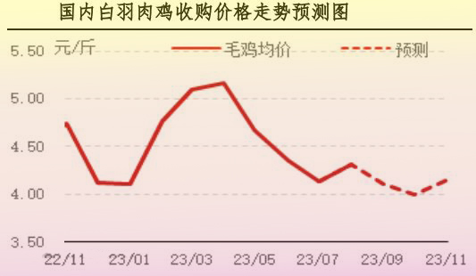 8月肉鸡市场行情剖析及9月行情展望