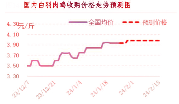 肉鸡市场行情汇总