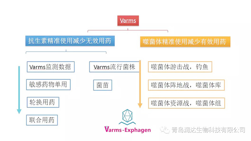  热烈祝贺“Varms抗药性监测与噬菌体防控焦点群启动商讨会”圆满乐成!!