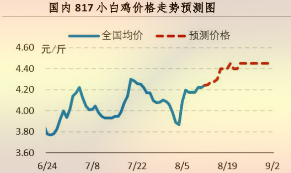 817小白鸡价钱走势展望