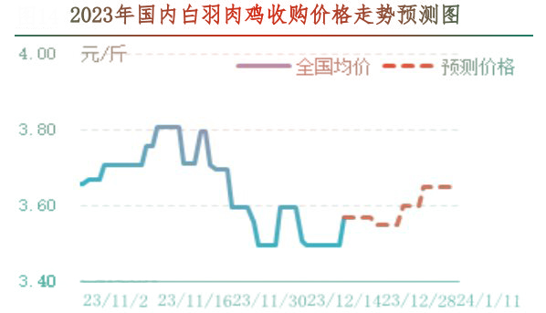 肉鸡市场行情汇总