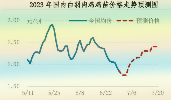 肉鸡市场行情汇总