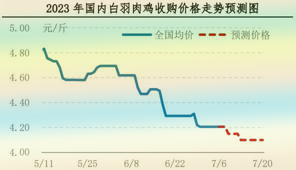 肉鸡市场行情汇总