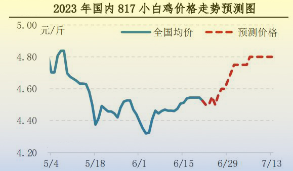 肉鸡市场行情汇总