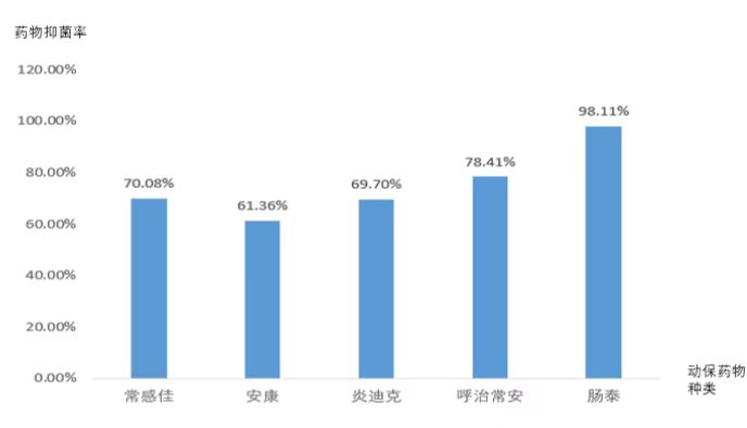 动保药物药敏效果